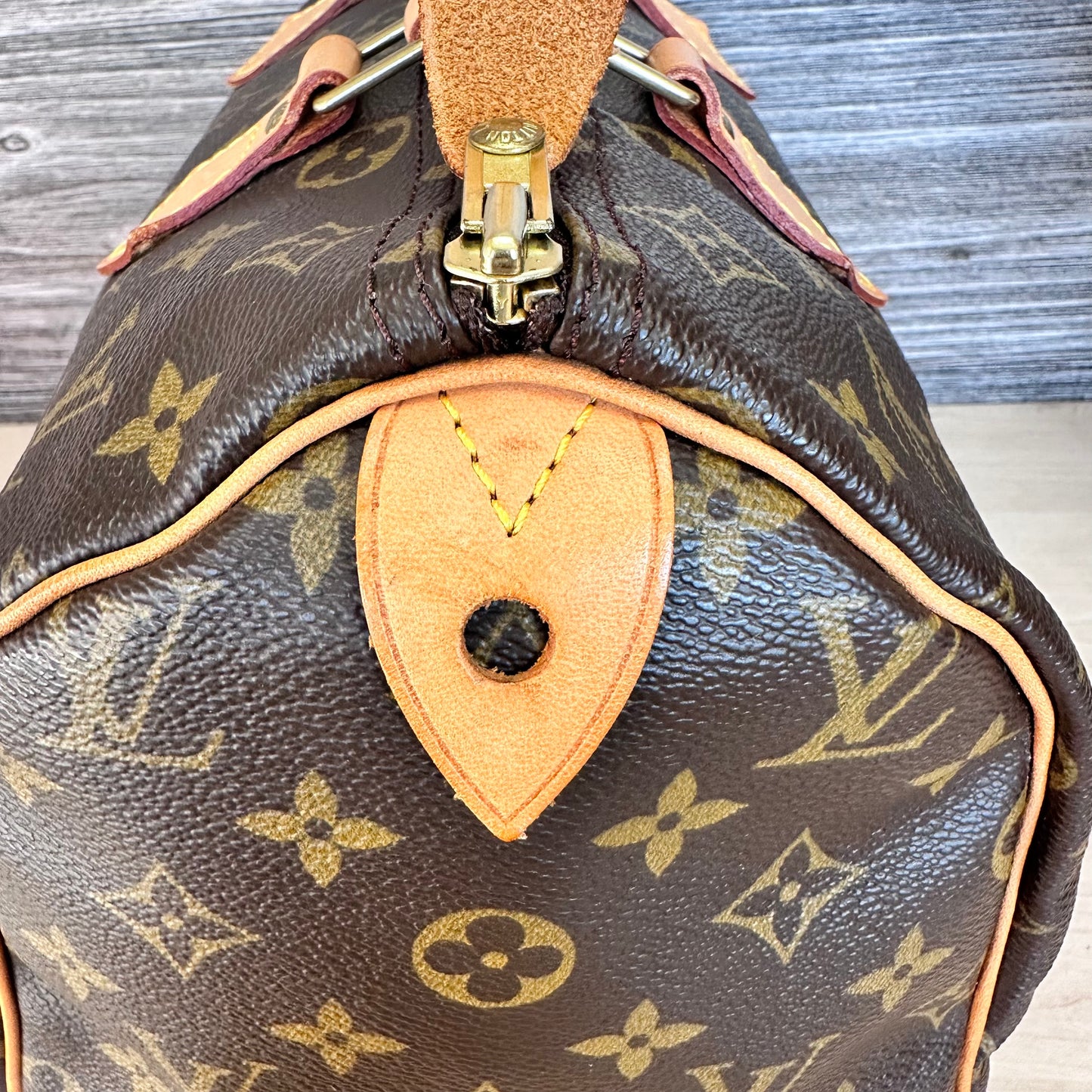 Speedy 30 Monogram Canvas