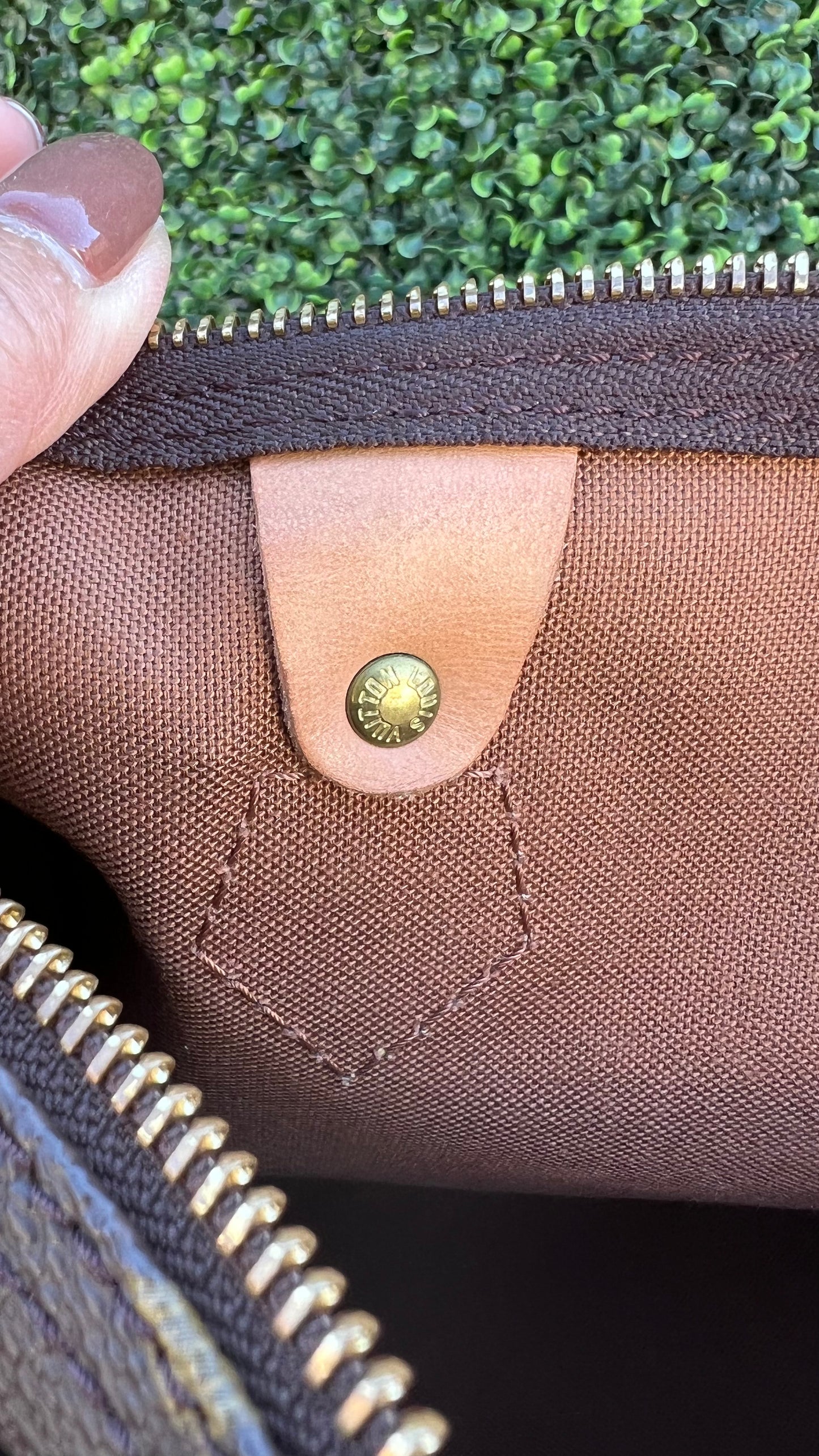 Speedy 30 Monogram Canvas