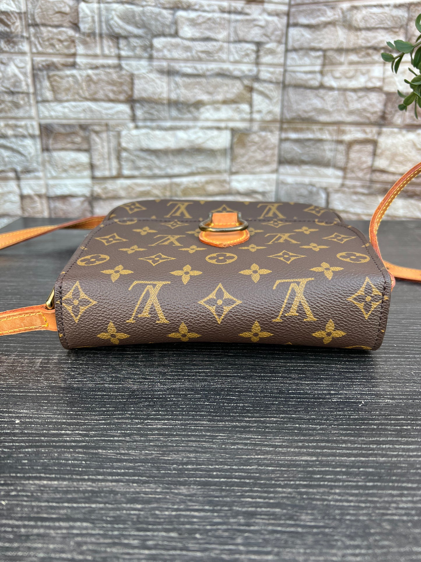 Vintage Saint Cloud MM Crossbody Bag