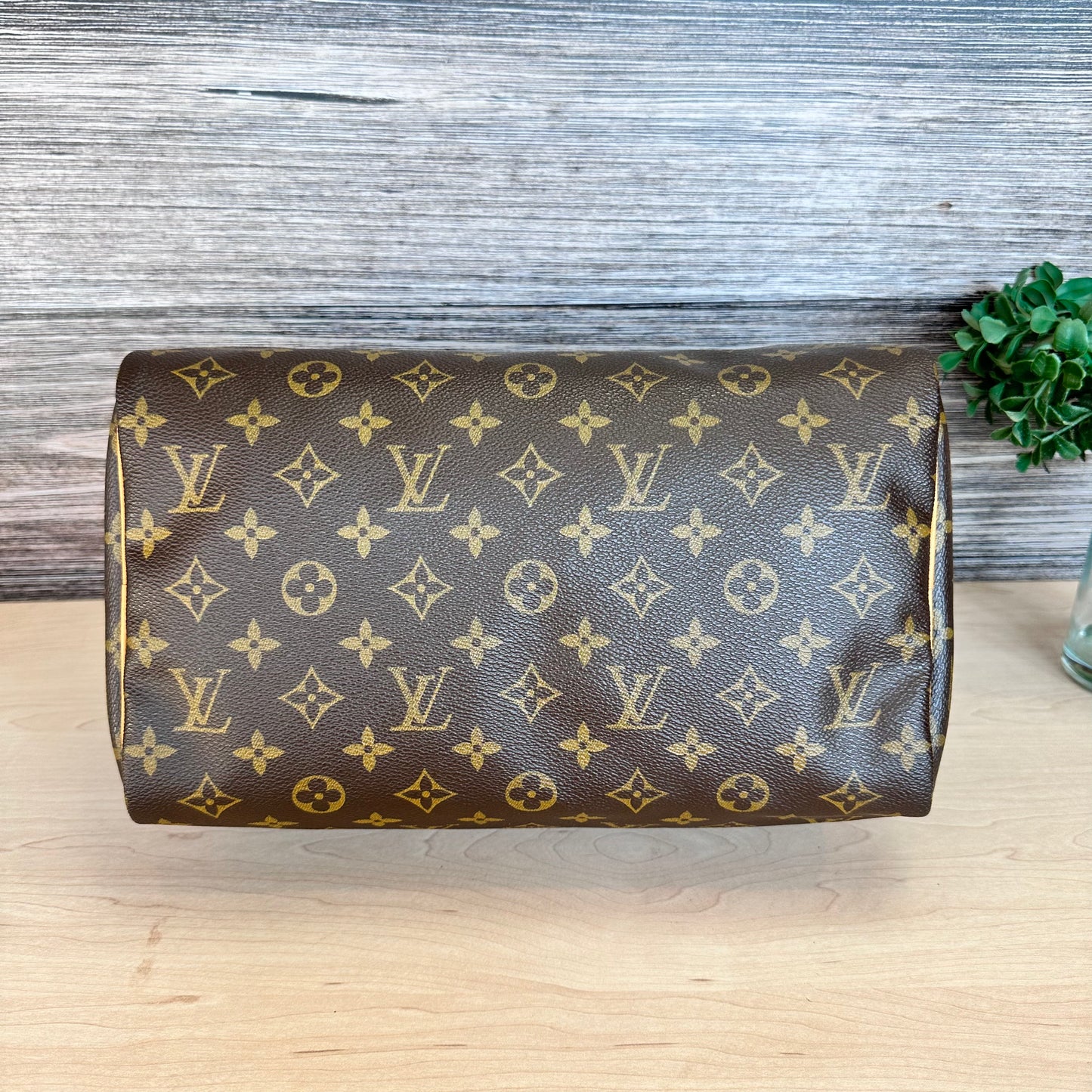 Speedy 30 Monogram Canvas