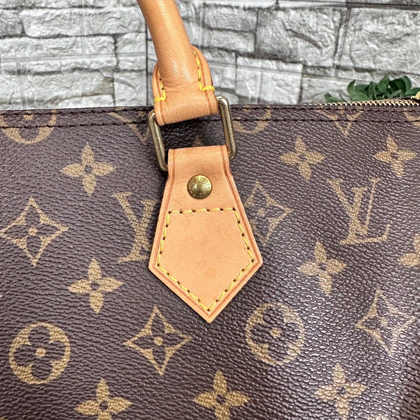 Speedy 35 Monogram Canvas