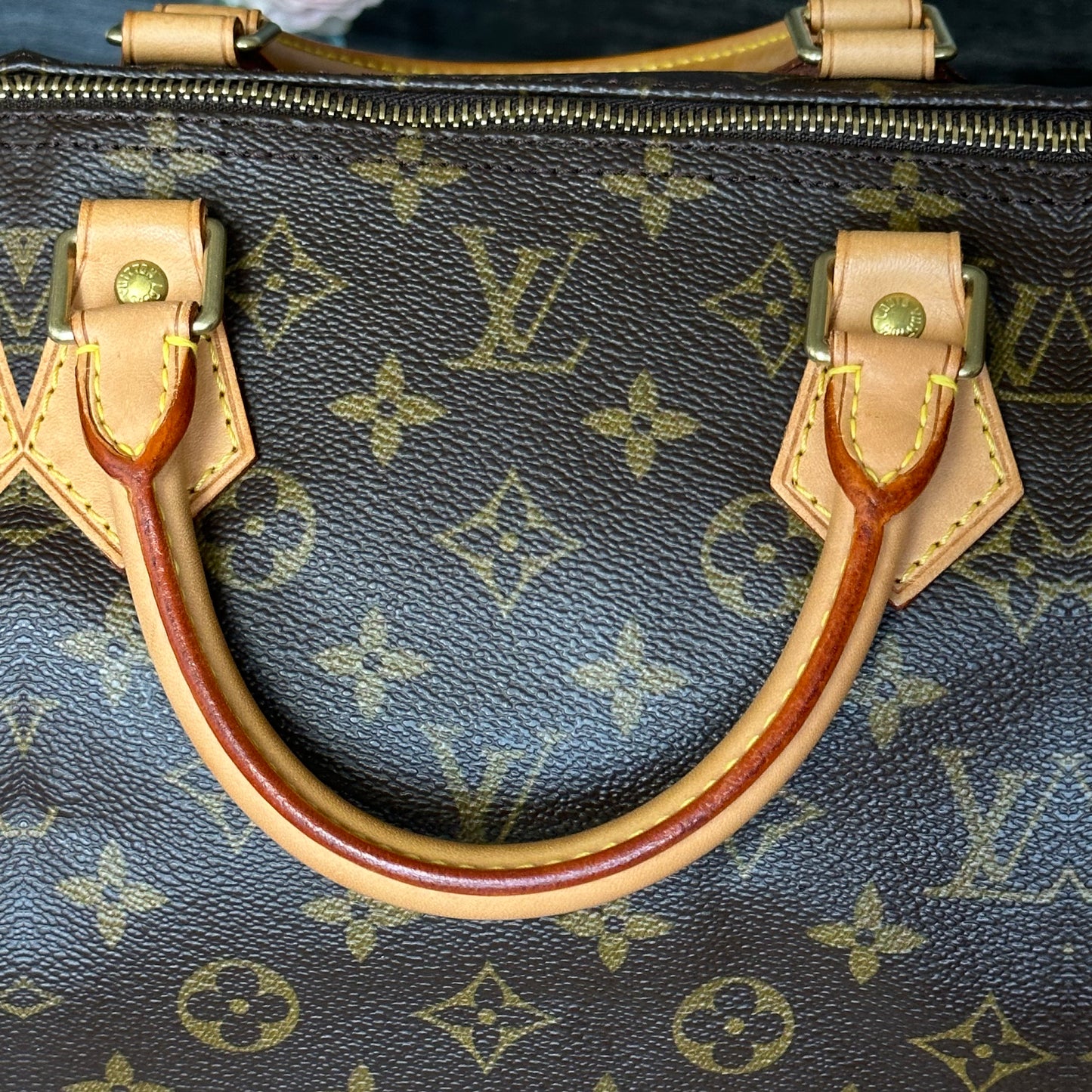 Speedy 40 Monogram Canvas