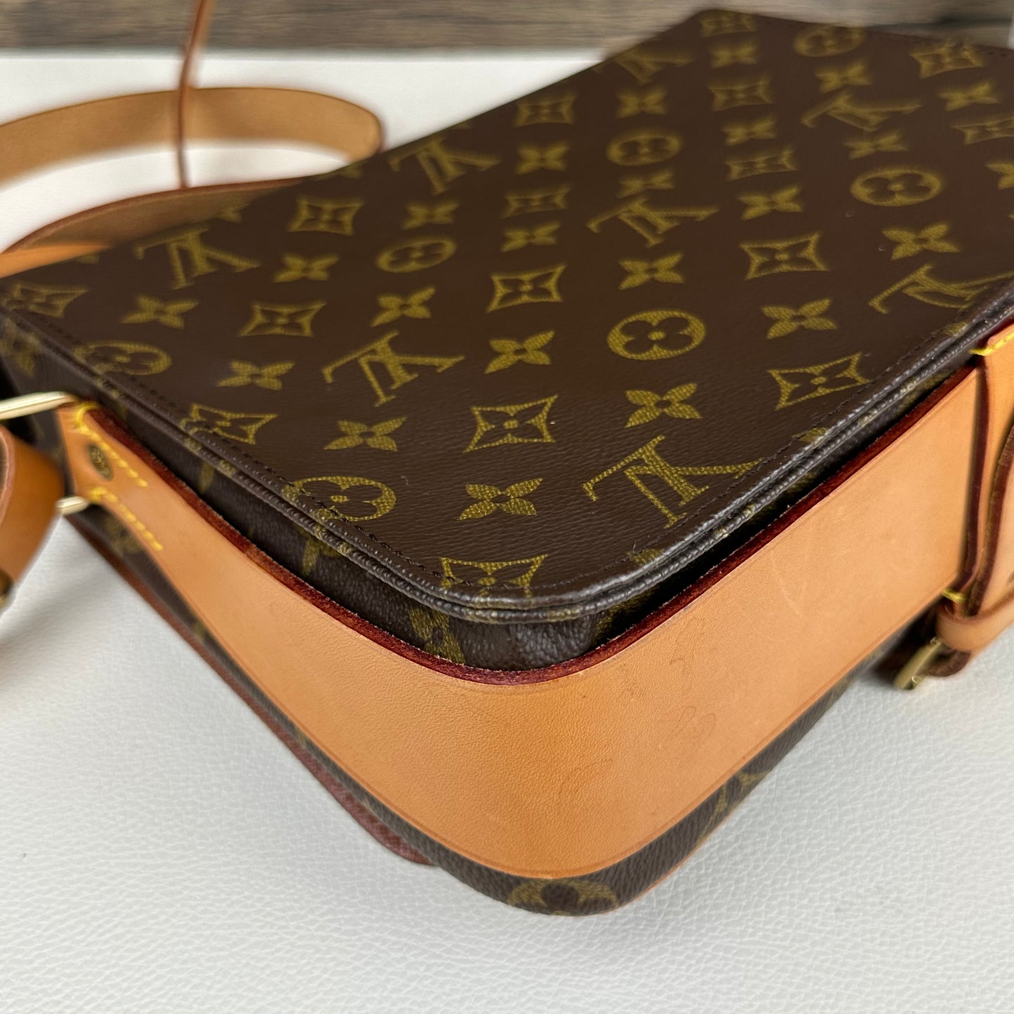 Cartouchiere GM  Crossbody Bag