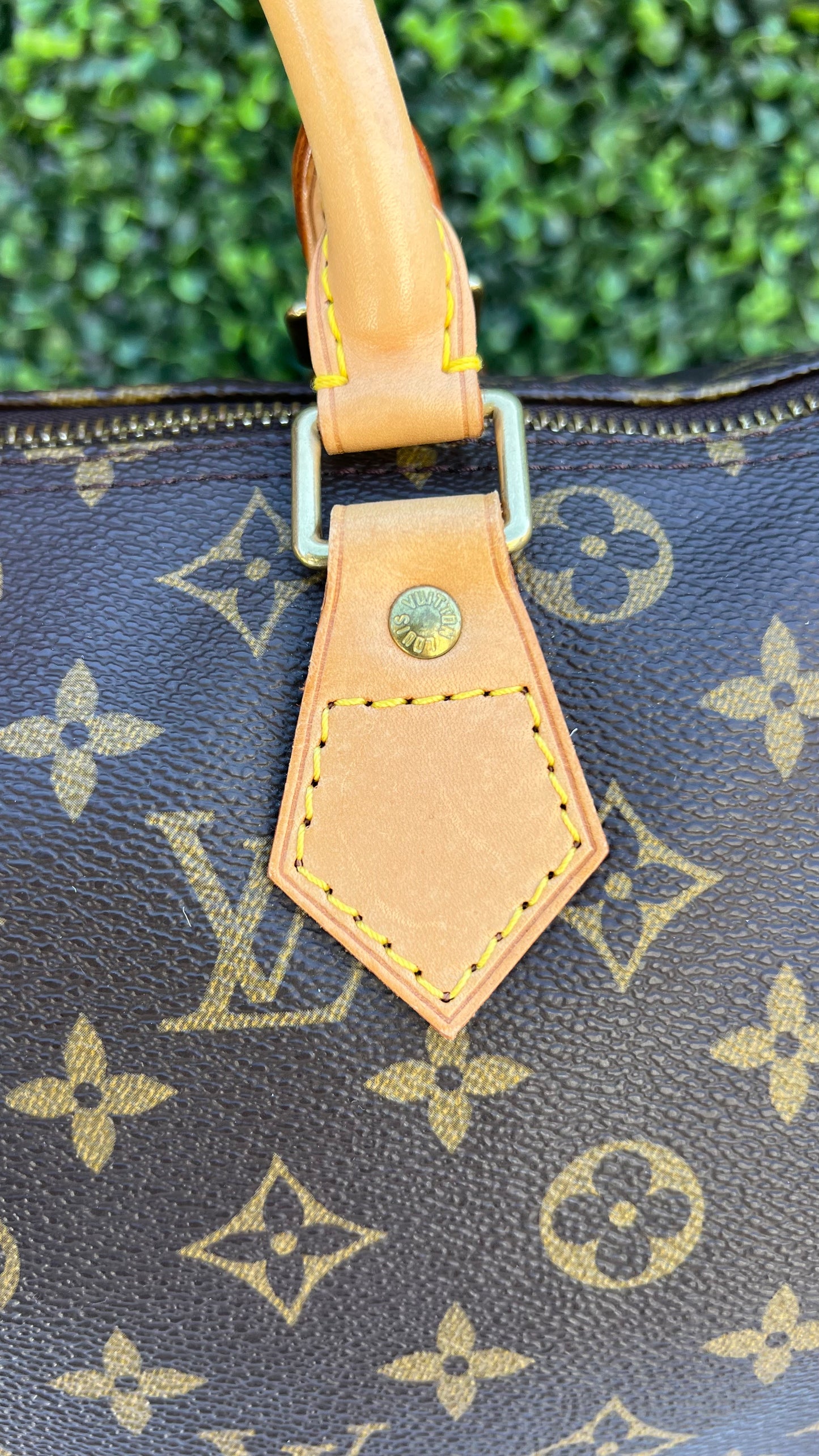 Speedy 30 Monogram Canvas