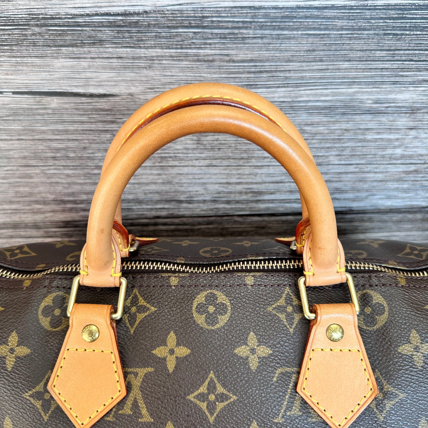Speedy 30 Monogram Canvas
