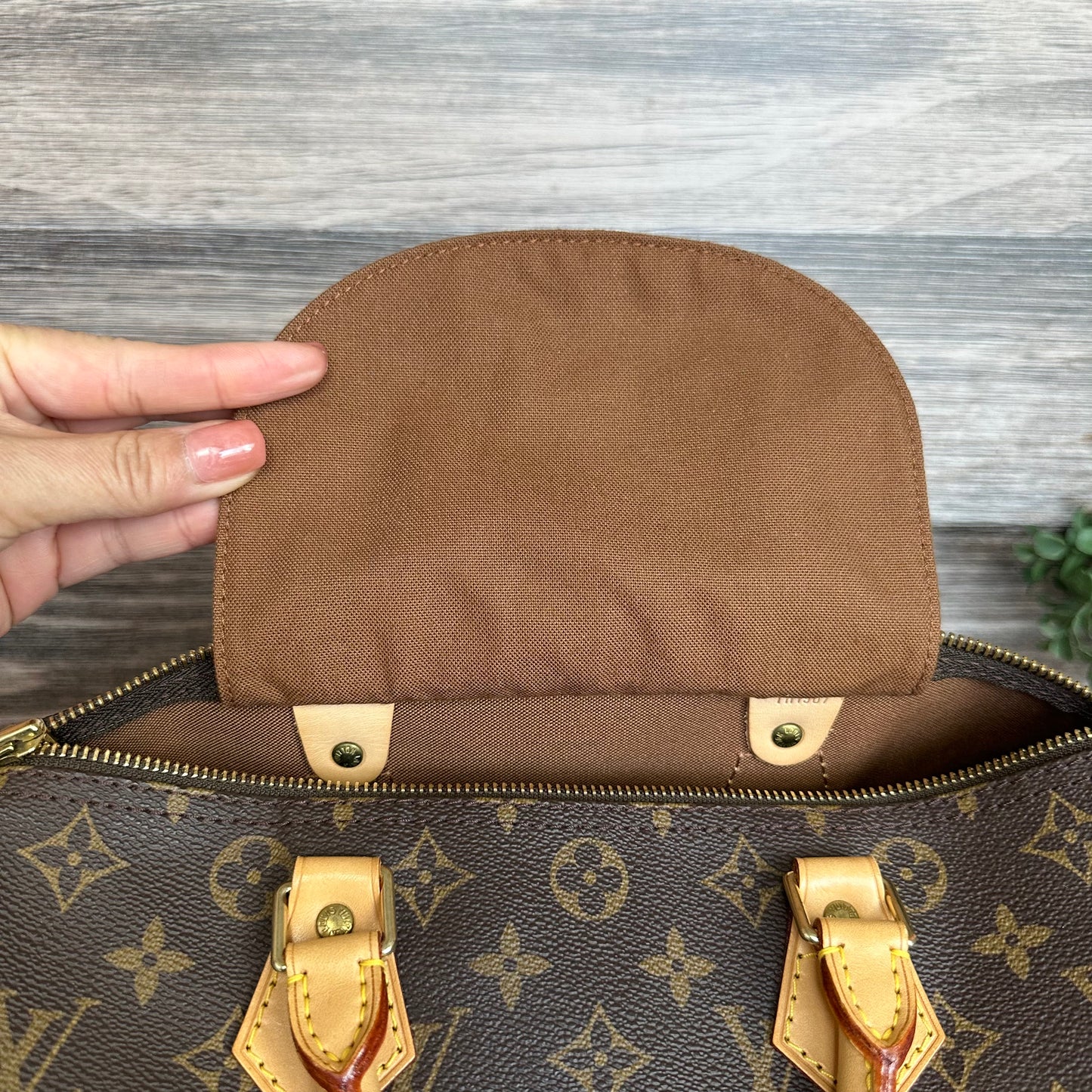 Speedy 30 Monogram Canvas