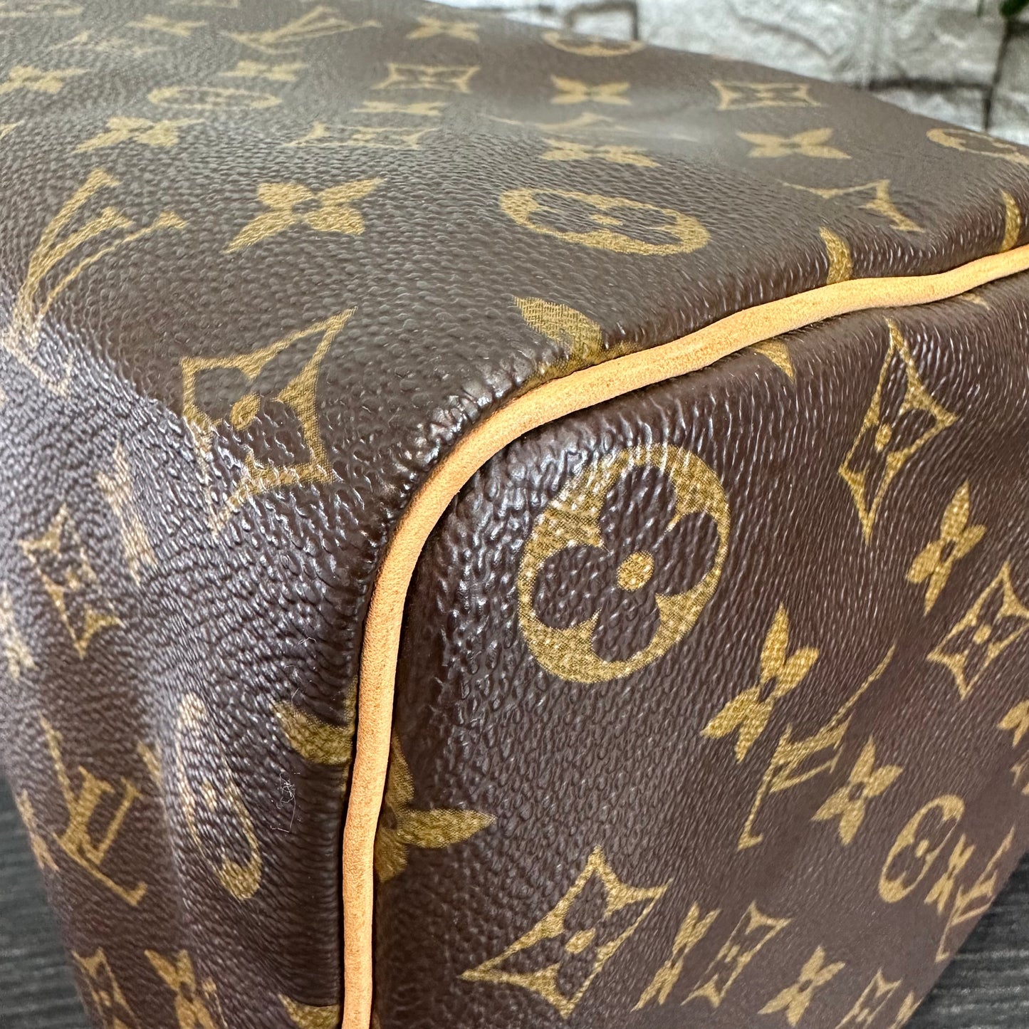 Speedy 35 Monogram Canvas