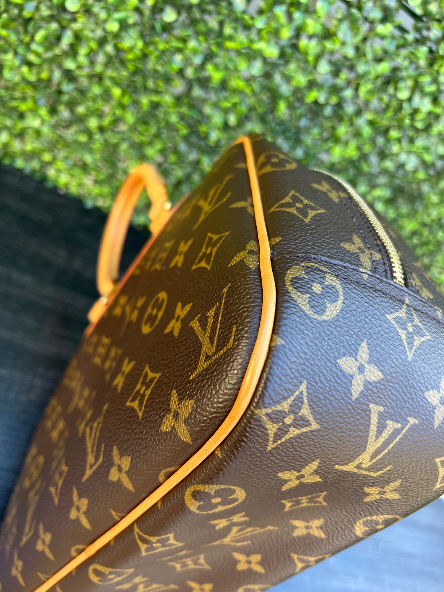 Trouville Monogram Canvas