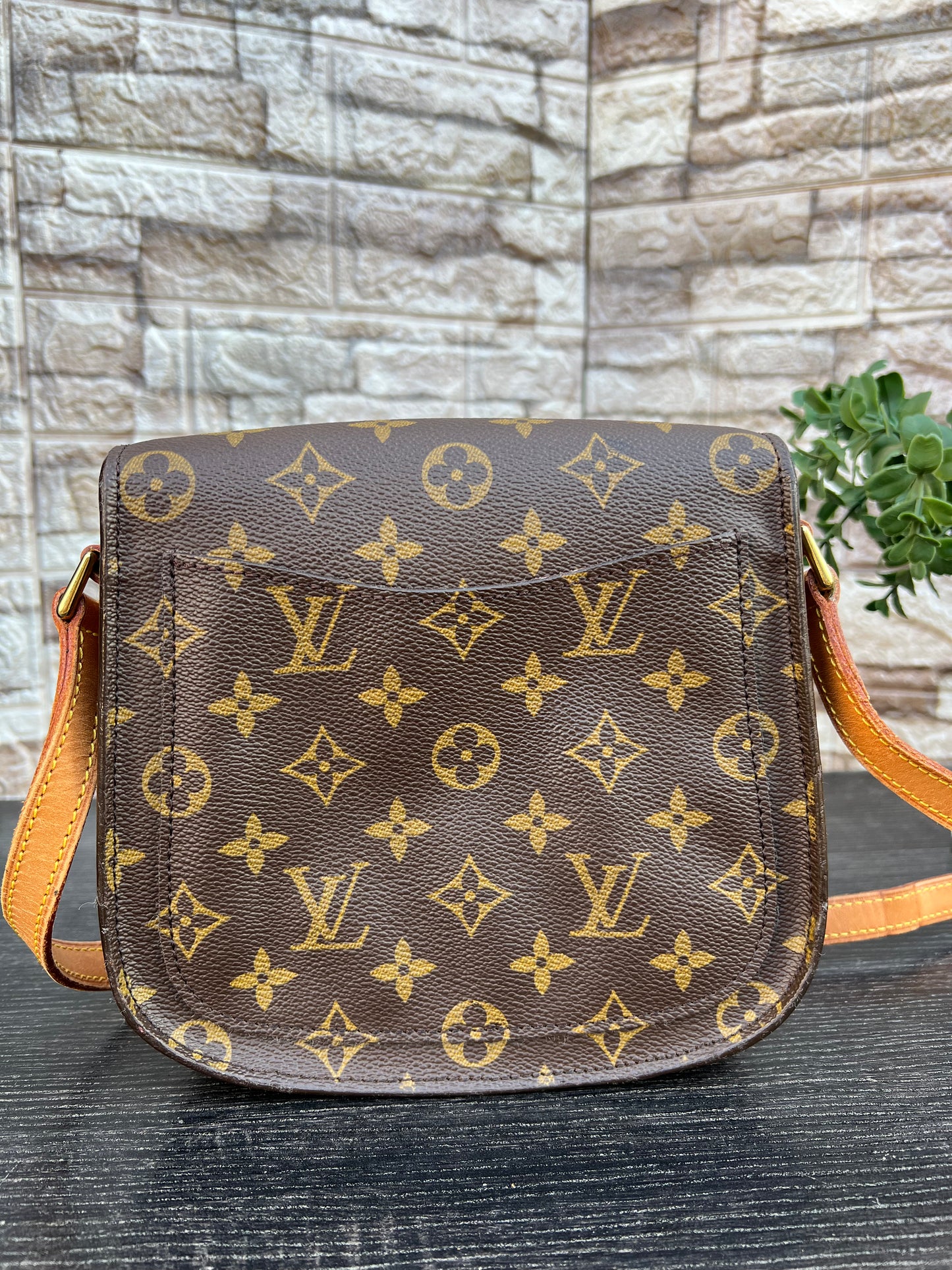 Vintage Saint Cloud MM Crossbody Bag
