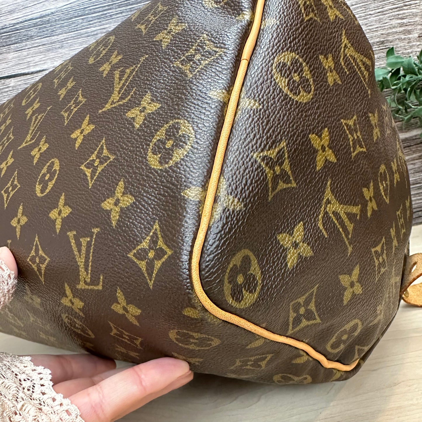 Speedy 35 Monogram Canvas