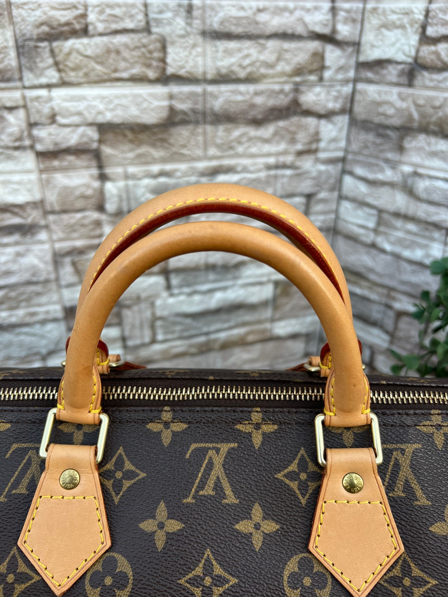 Speedy 40 Monogram Canvas