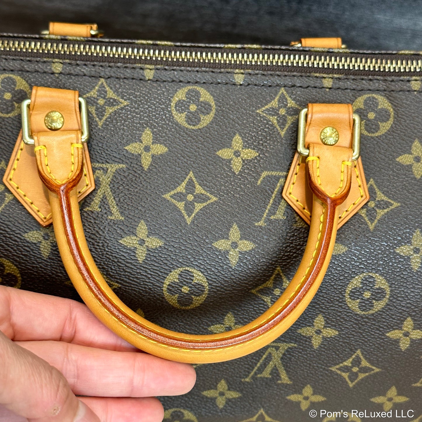 Speedy 30 Monogram Canvas
