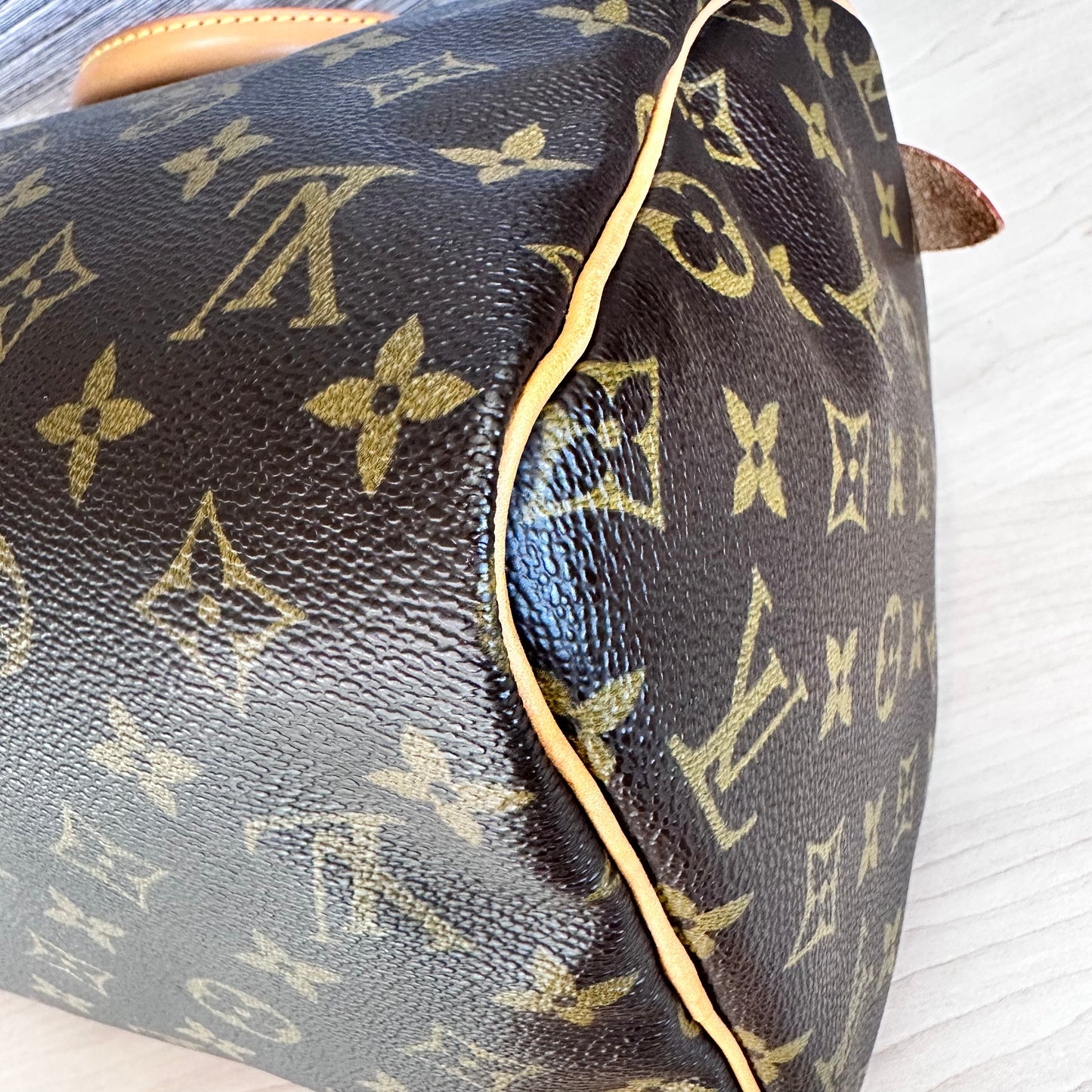 Speedy 30 Monogram Canvas