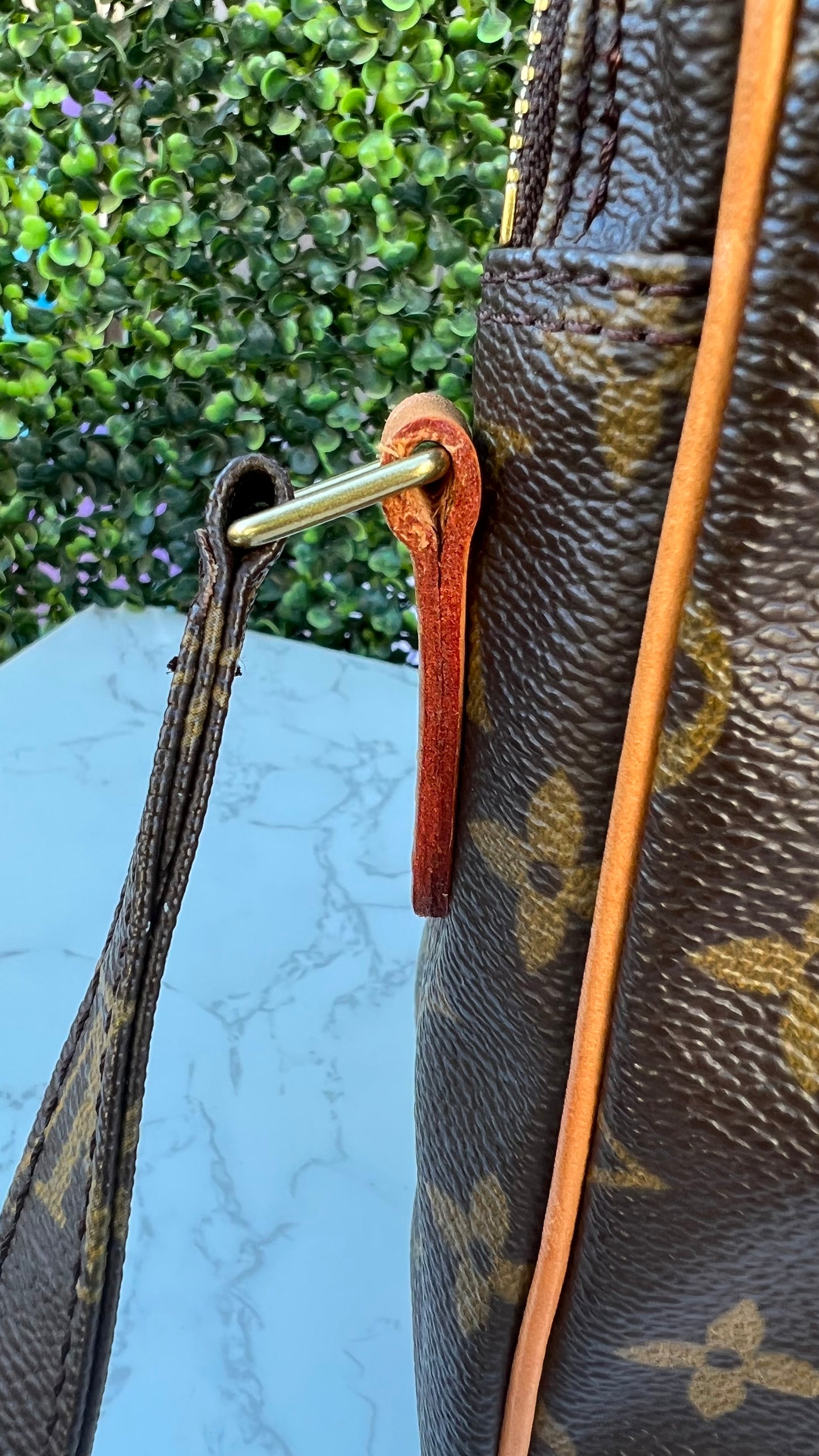Amazone Monogram Canvas Crossbody Bag