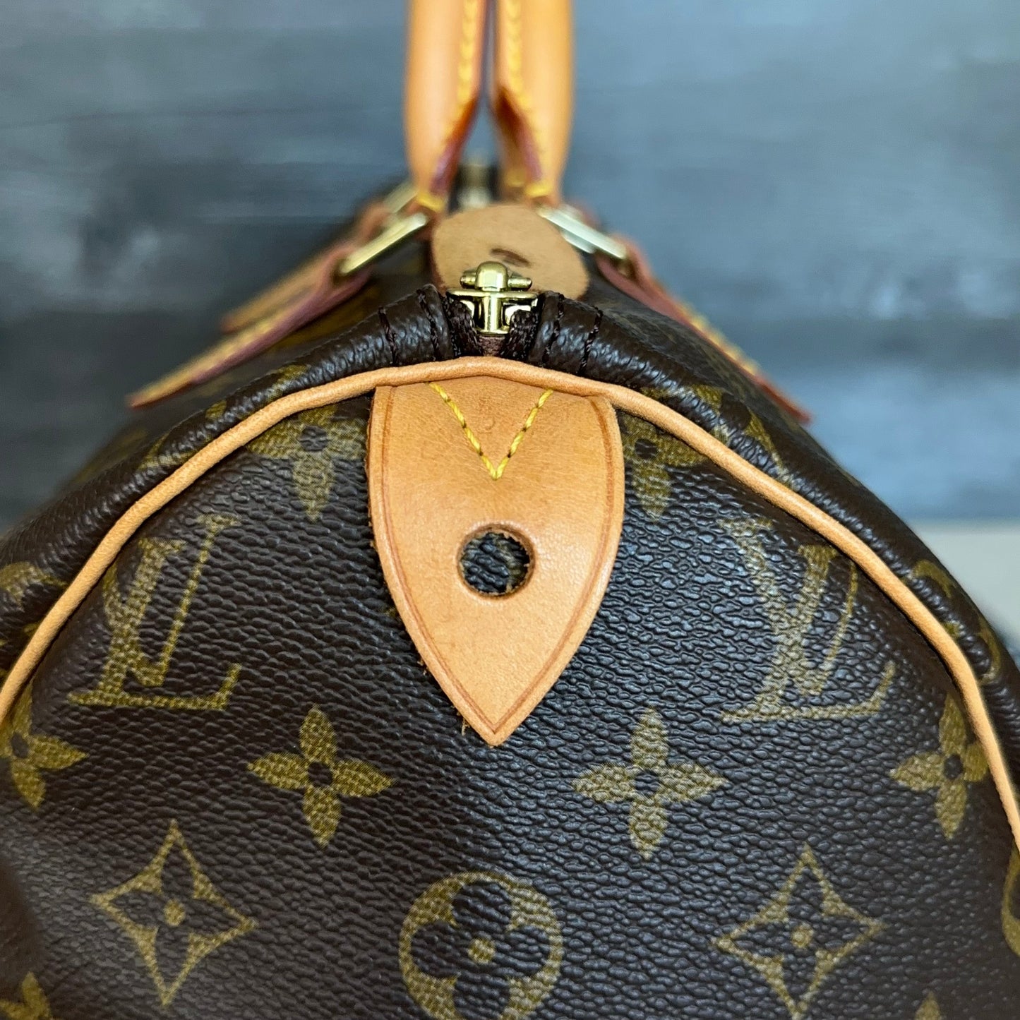 Speedy 40 Monogram Canvas