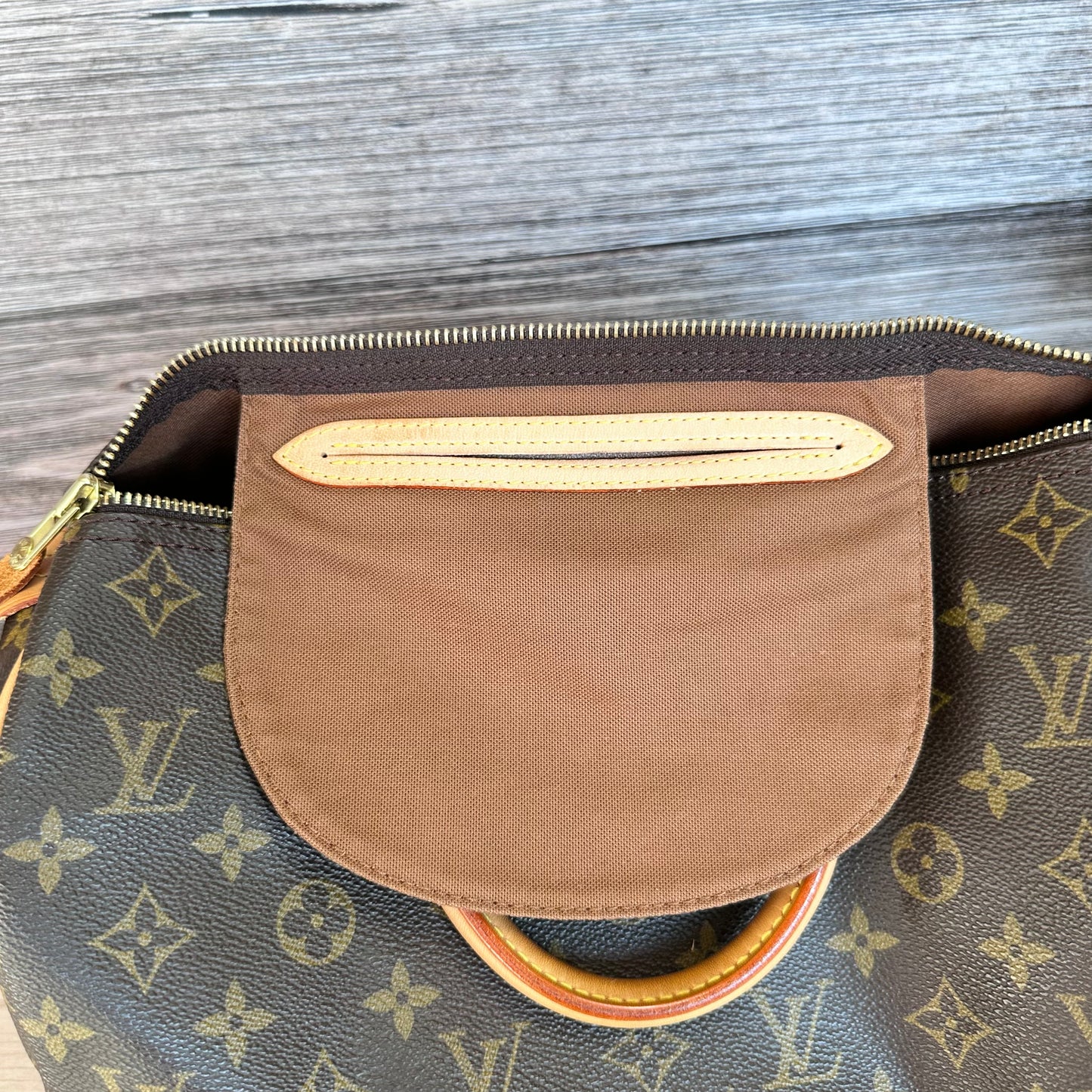 Speedy 30 Monogram Canvas