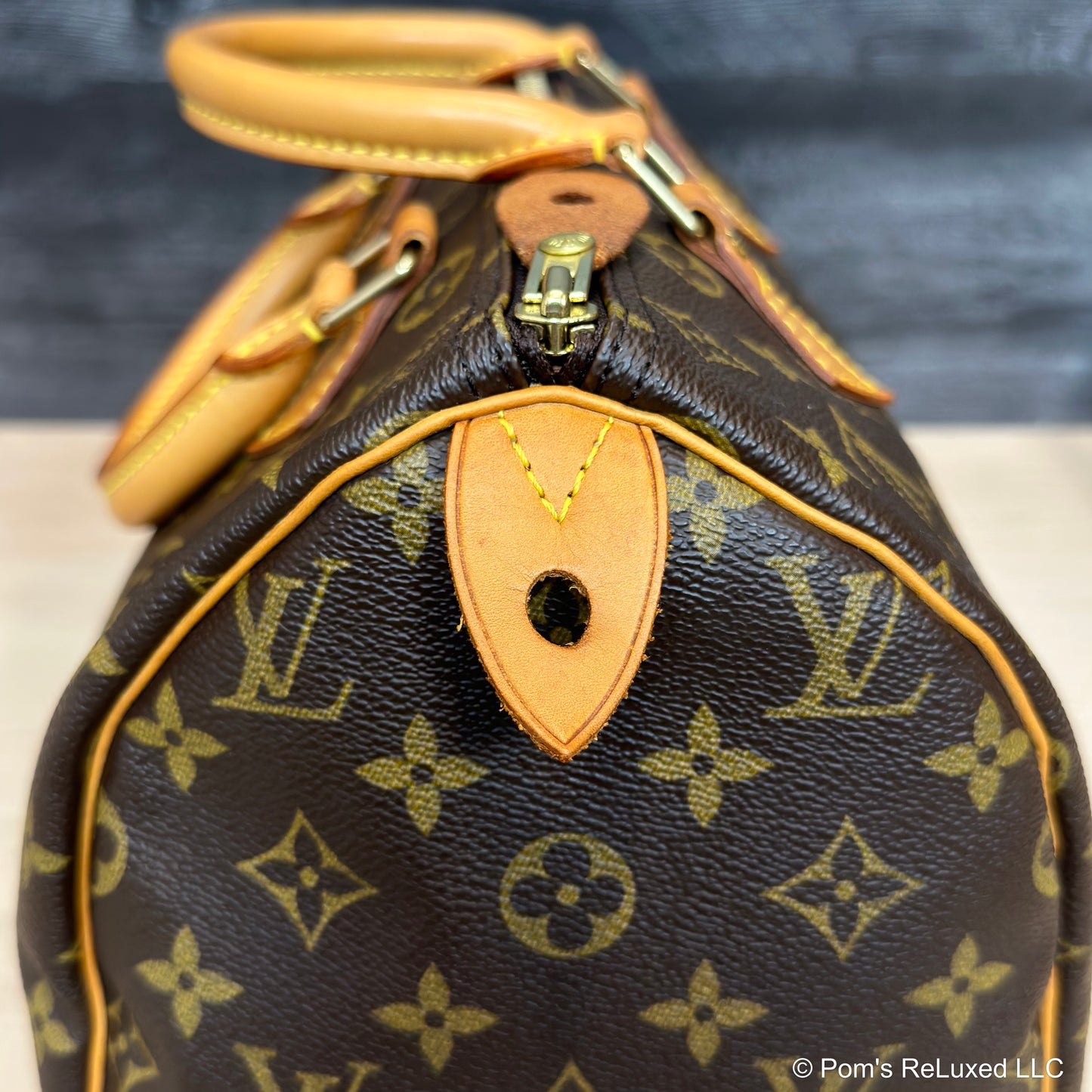 Speedy 30 Monogram Canvas