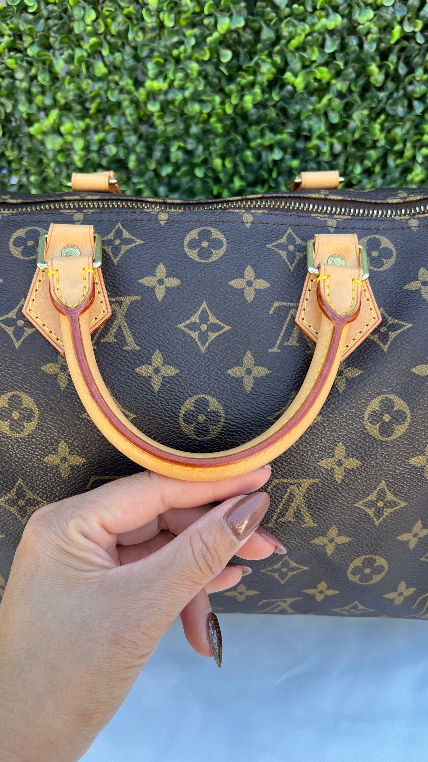 Speedy 30 Monogram Canvas