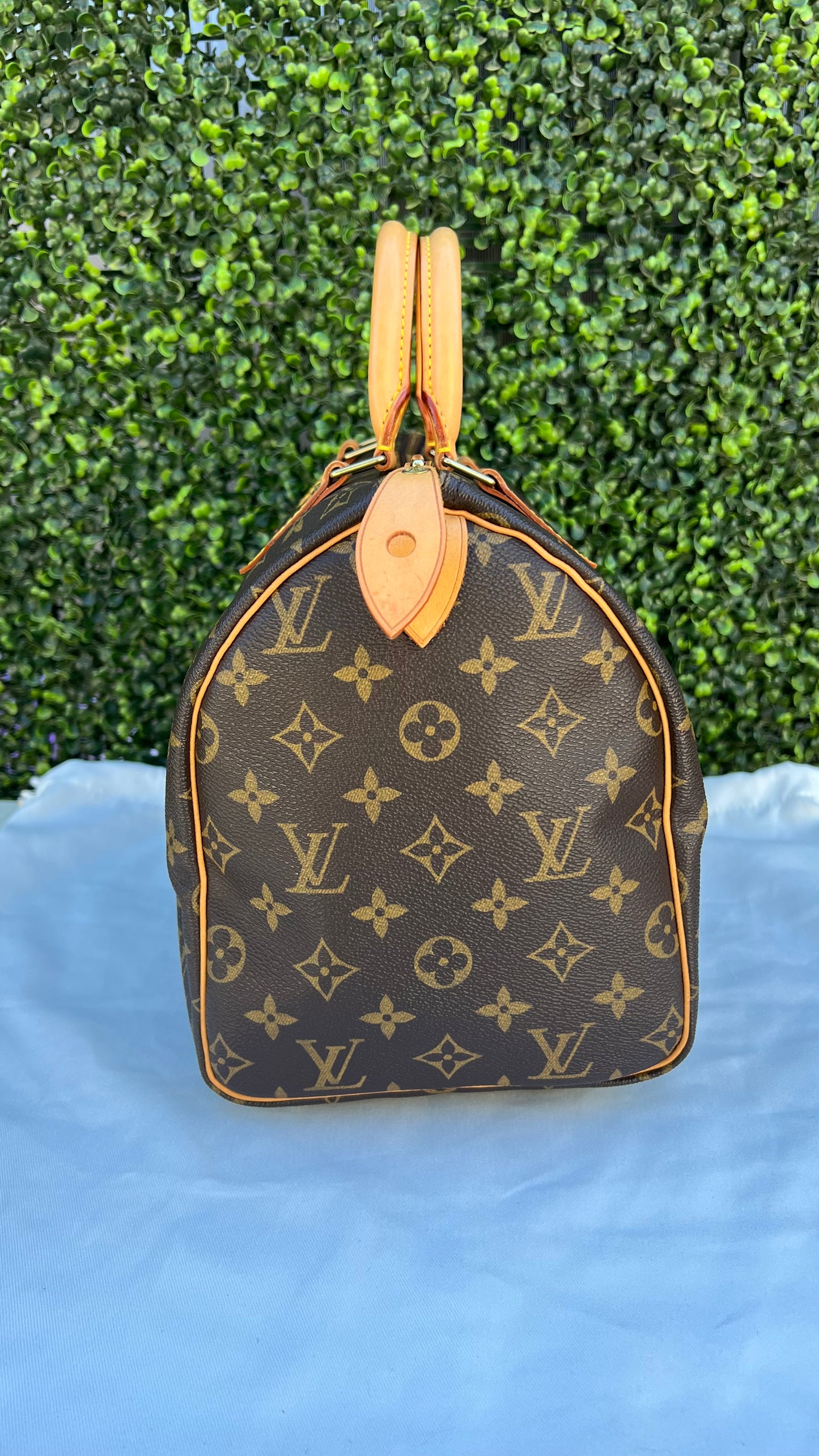 Speedy 30 Monogram Canvas