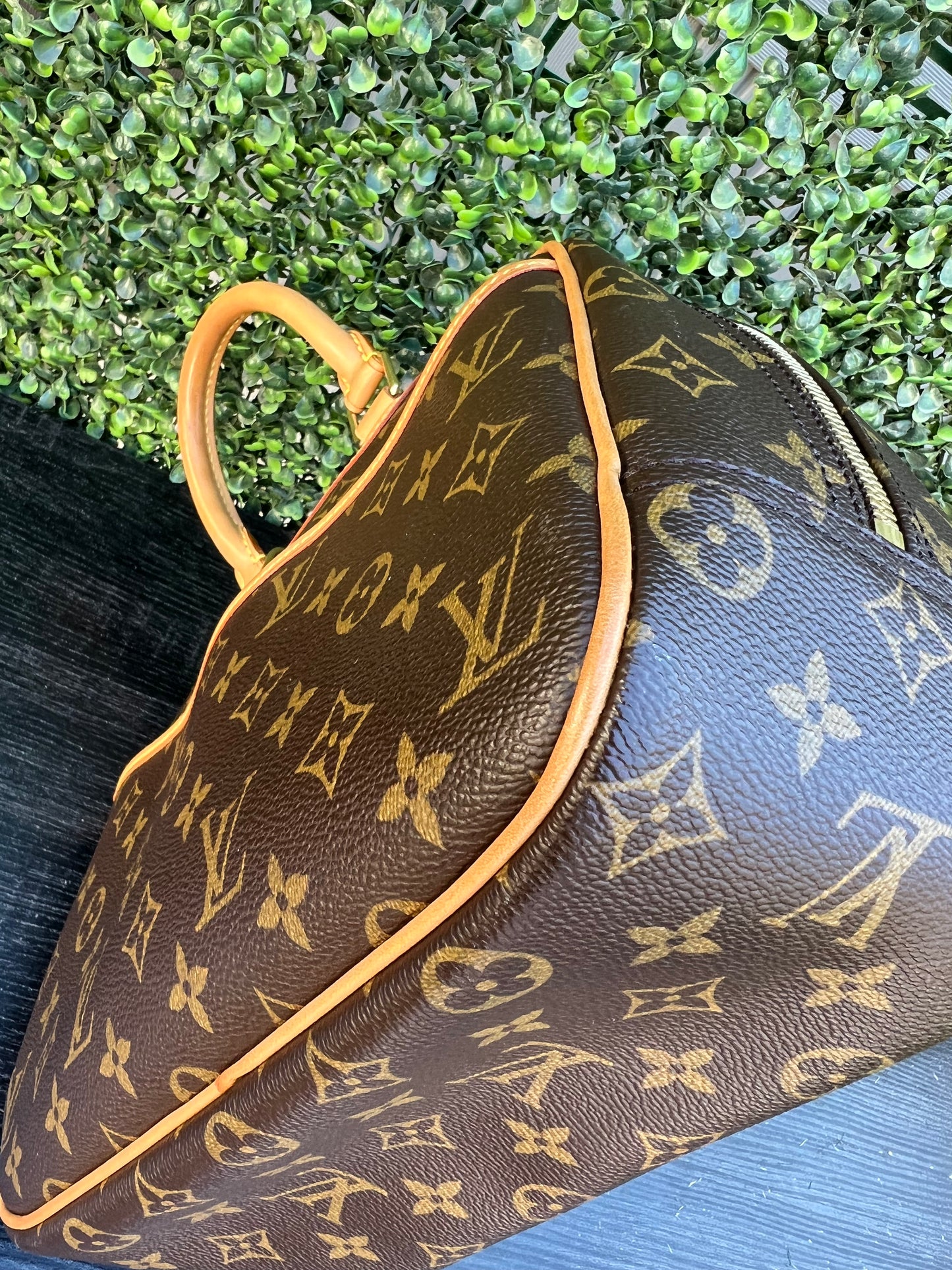 Trouville Monogram Canvas