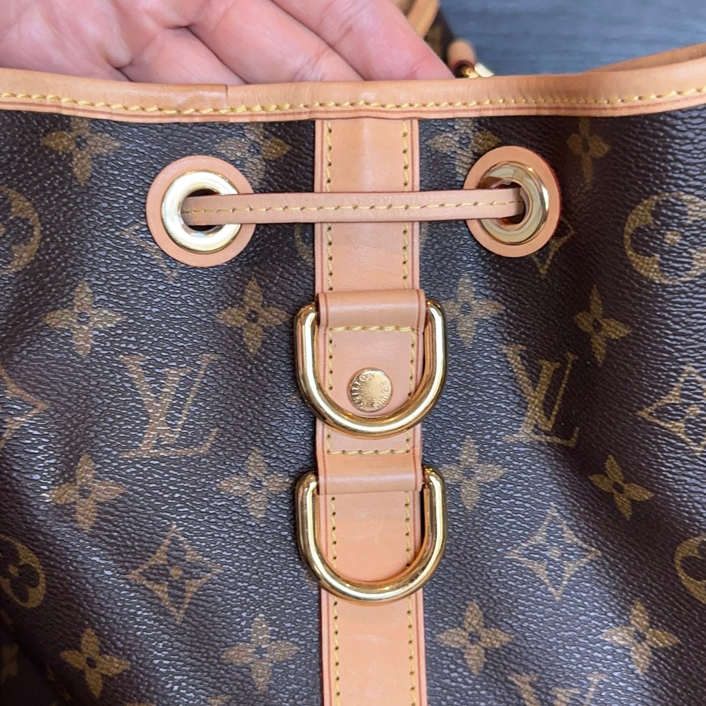 Limited Edition Monogram Neo Noe Two Way Bag
