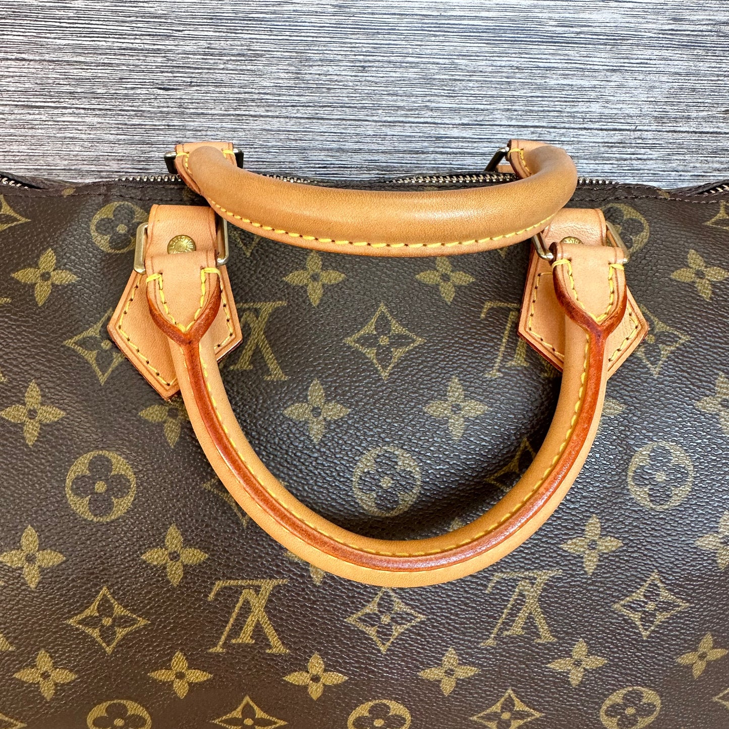 Speedy 30 Monogram Canvas