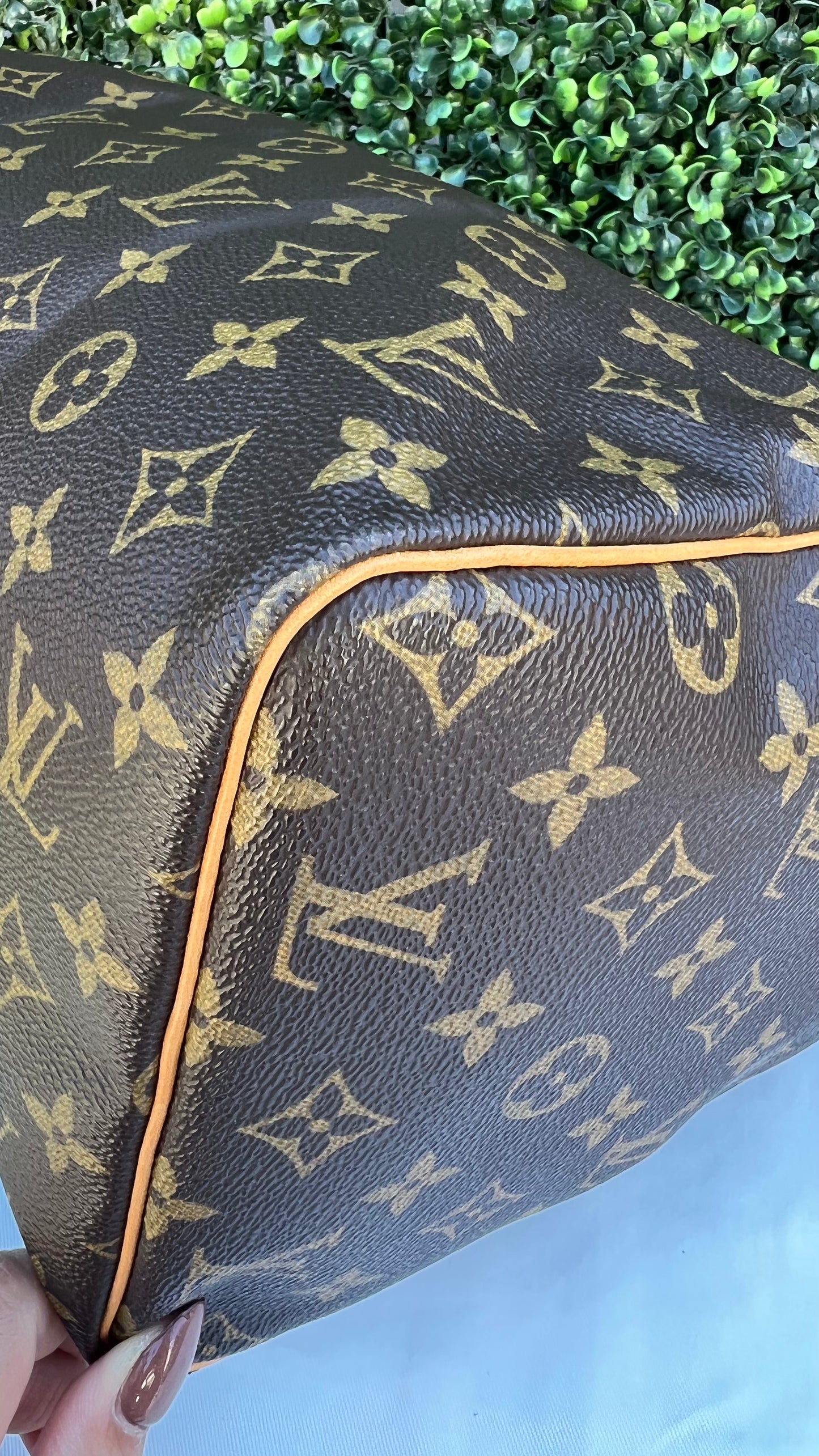 Speedy 30 Monogram Canvas