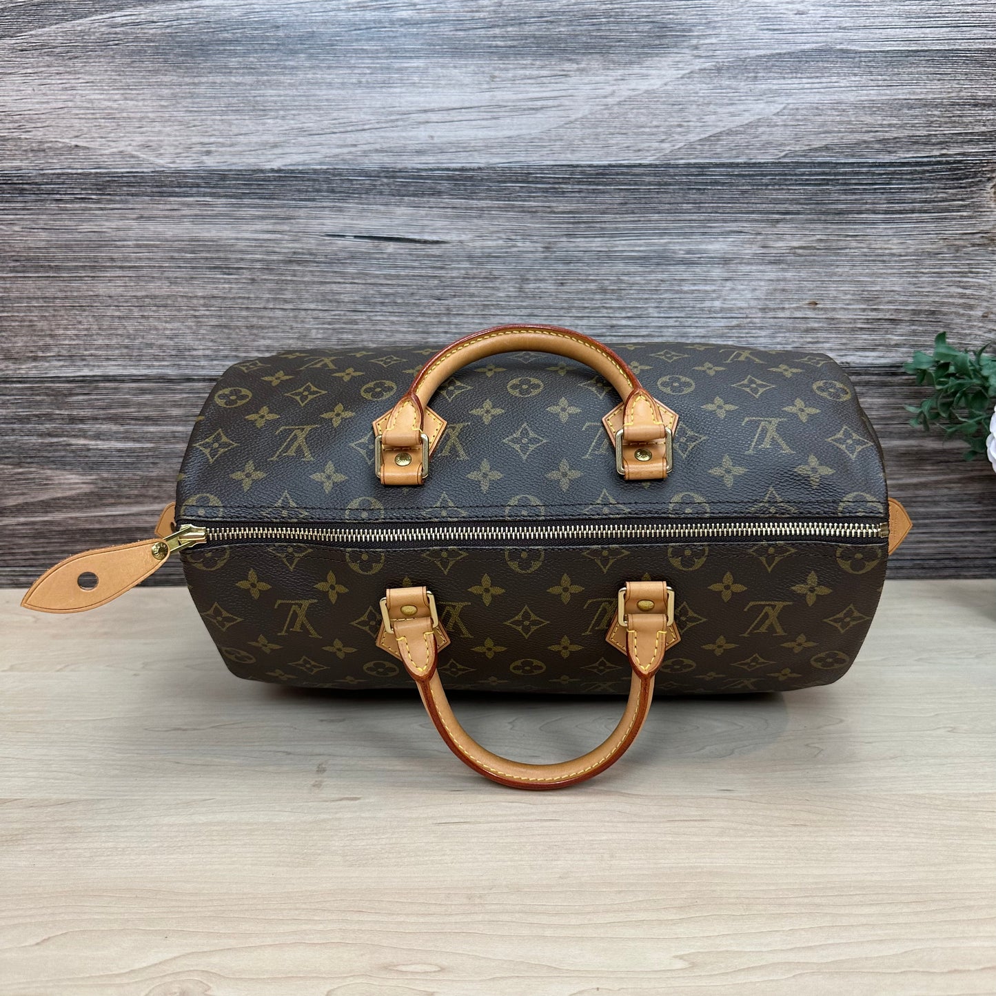 Speedy 35 Monogram Canvas